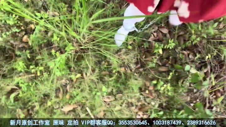 #新月原创【琳媚】【户外】白丝时装小脏脚 带着手脚铐到处踩踩踩 被蚂蚁咬 被蚊子追 回来一脚伤.mp4