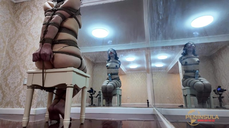 #半岛束艺台 【昭月】尽在掌控下载地址