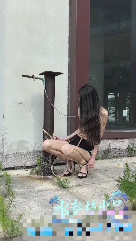 #水叁枝 小水的度假区户外调教.mp4