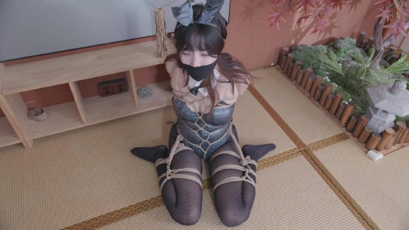 #波丝姬 龟甲缚绑架拍打震动刺激黑丝兔女郎下载地址