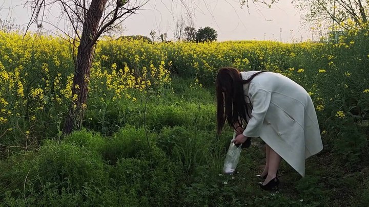 #苏苏 户外泳装露出紫薇，被尾随迷晕调教的少女.mp4