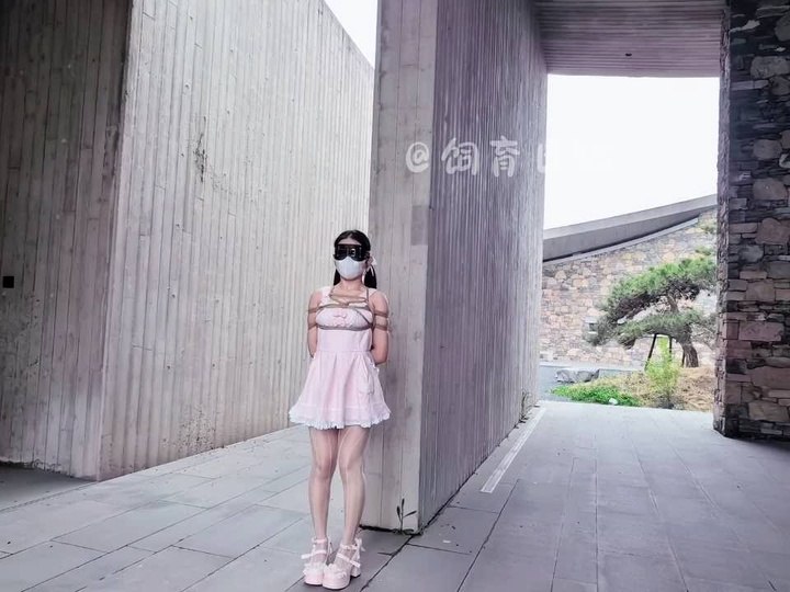 #饲育日记 粉嫩出场，偶然发现超美建筑群，双马尾小狗快乐亿下